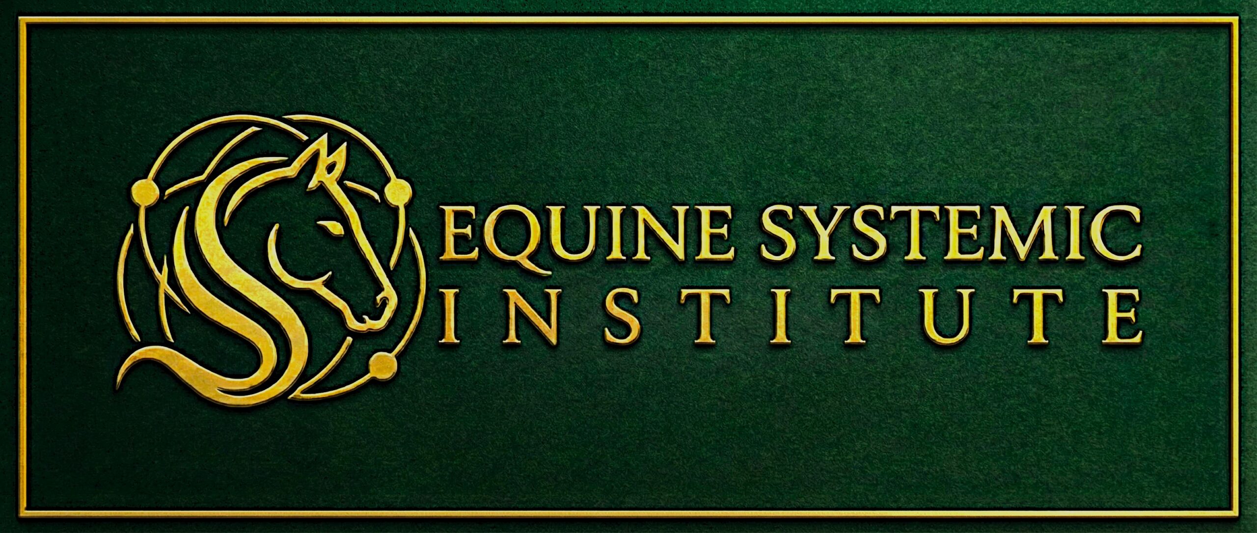 Equine Systemic Institute